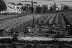 ほんとの冬が来る前に