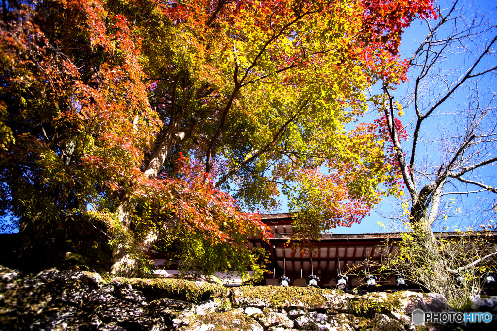 談山神社の紅葉