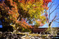 談山神社の紅葉