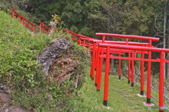狐の住む山