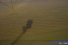 影