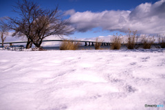 雪の琵琶湖