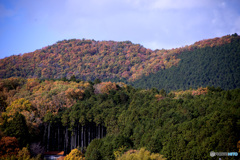 室生大野里山