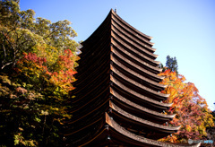 談山神社紅葉