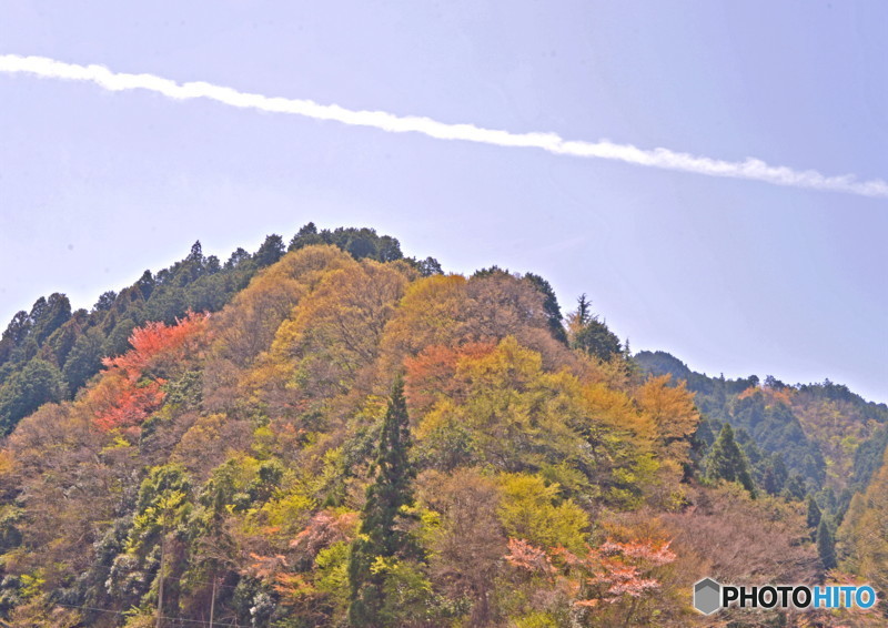 山笑う