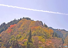 山笑う