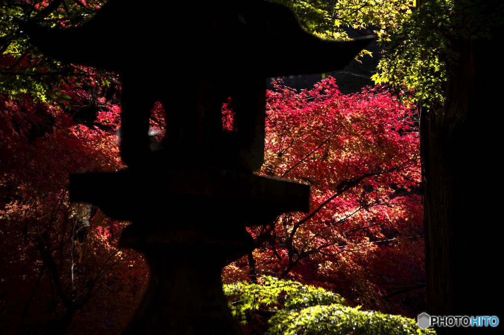 談山神社の紅葉