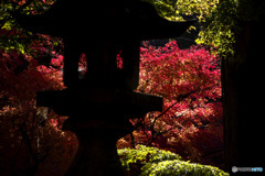 談山神社の紅葉