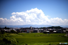 夏雲2