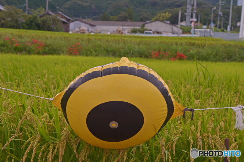 守る