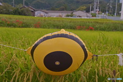 守る