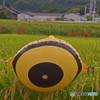 守る