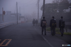 霧の日の通学
