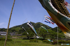 薫風（五月の風）