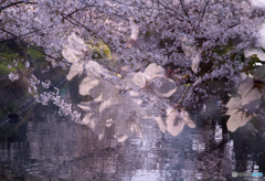 砂子水路