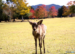 僕元気ですよ!(^^)!