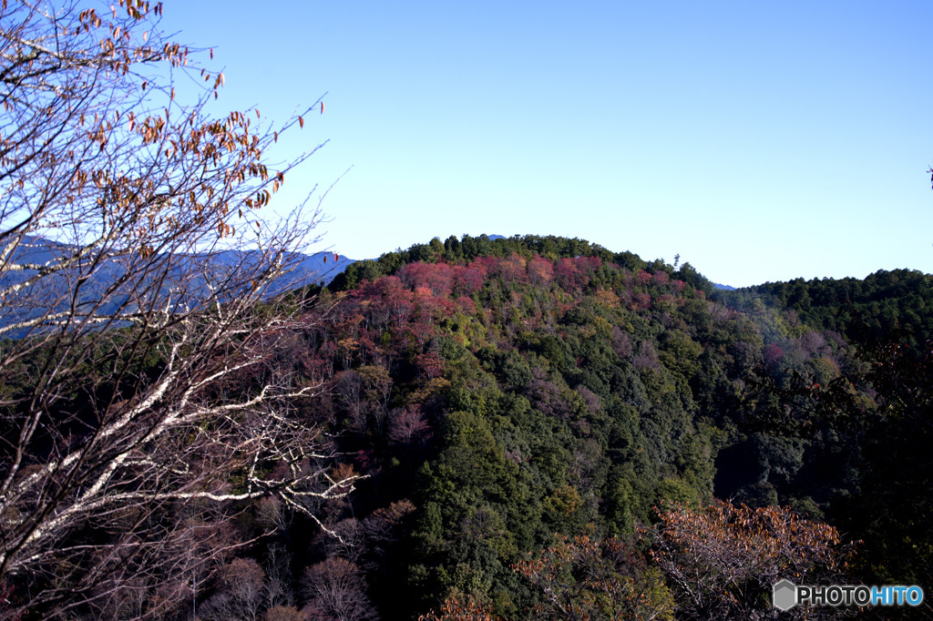 山色づく