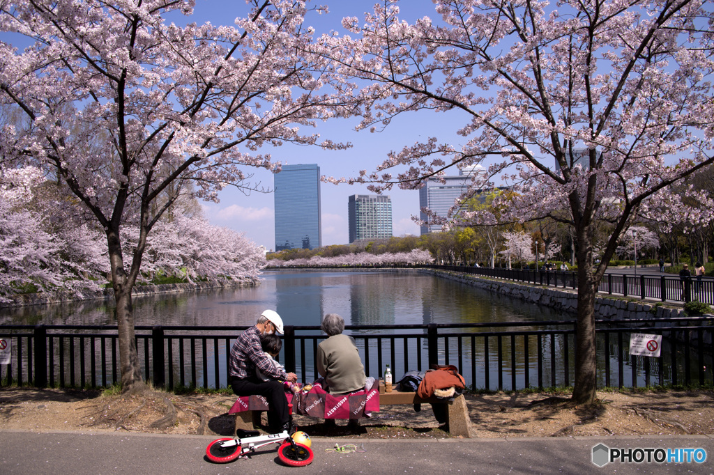 2020花見