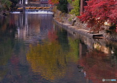 水に映える紅葉