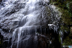 水凍る川