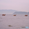 流し雛