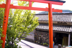 朝の光