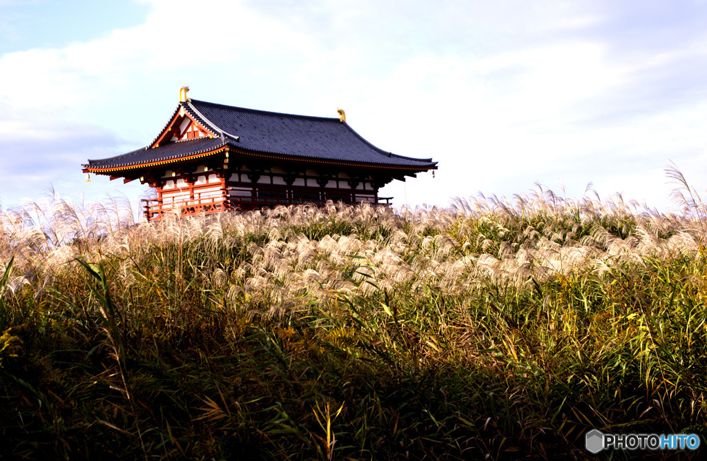 すすき野