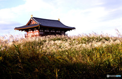 すすき野