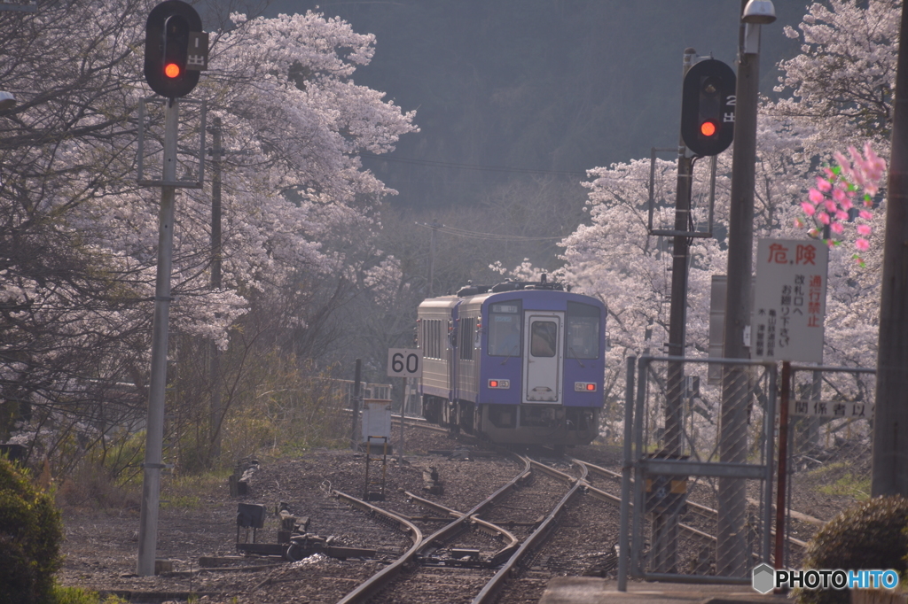 春を行く