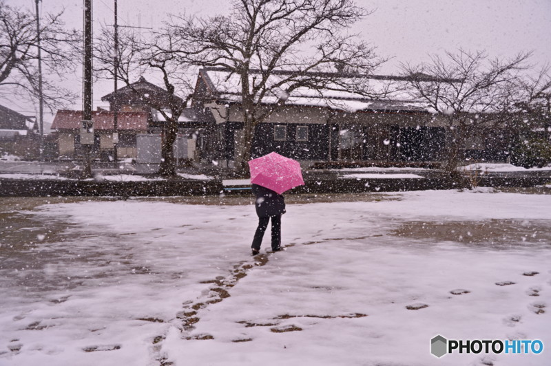 雪の日