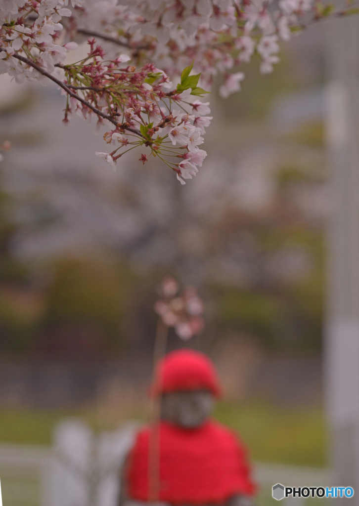 祈りの春