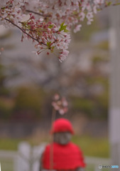 祈りの春