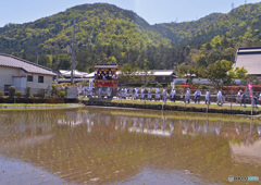 大溝祭