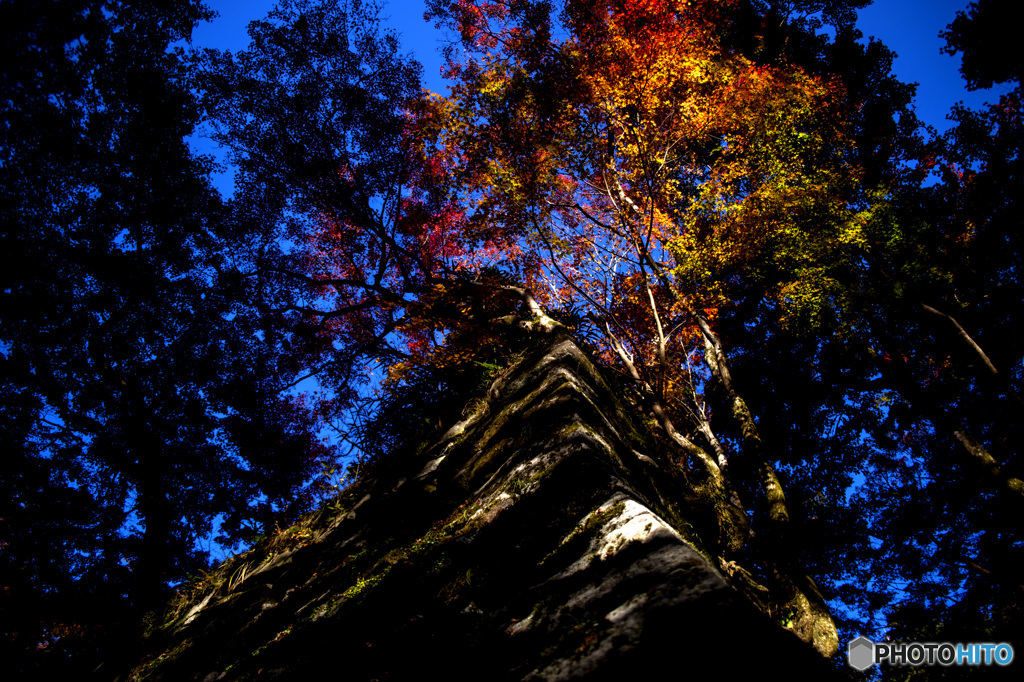 談山神社の紅葉
