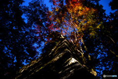 談山神社の紅葉