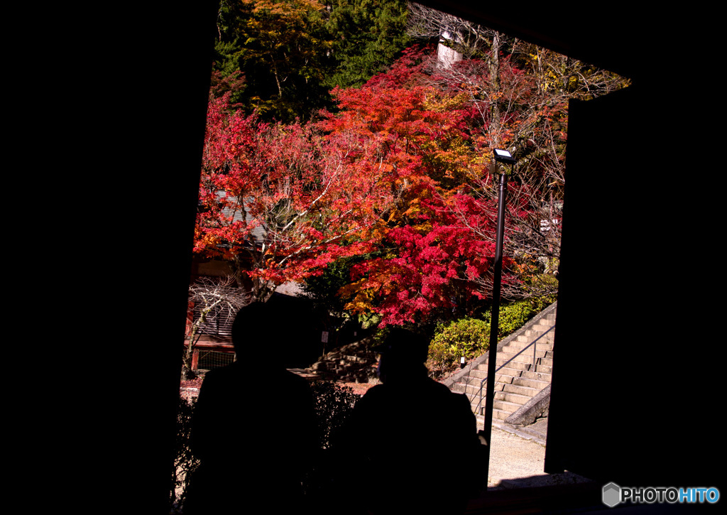 談山神社の紅葉