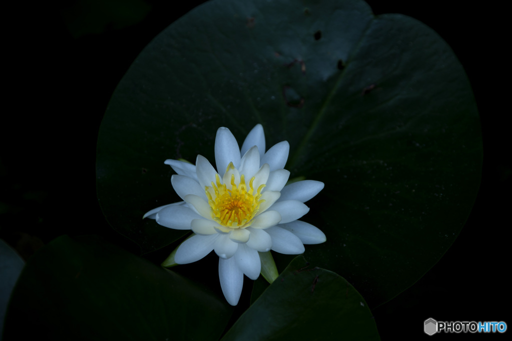お盆