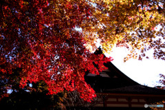 談山神社の紅葉