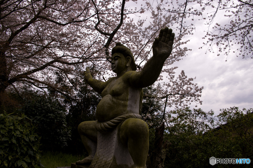 山の辺の道の桜風景