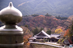 長谷寺の紅葉