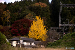 村ののシンボル