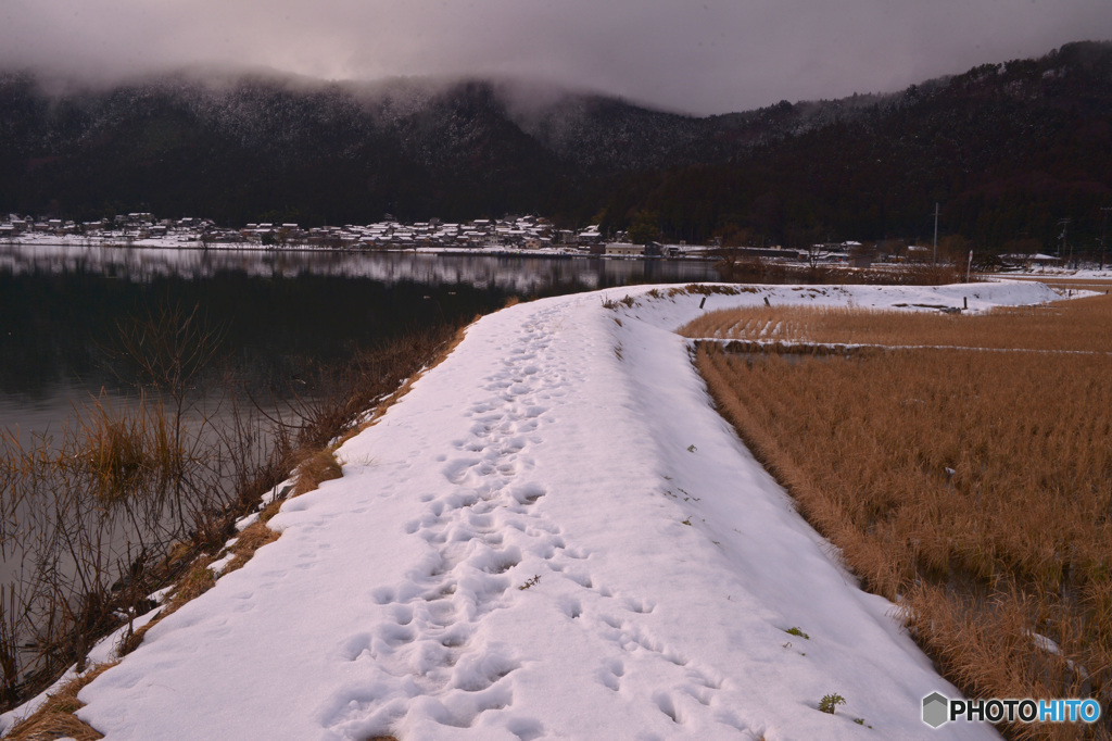 雪道