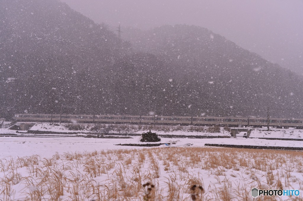 雪の湖西線
