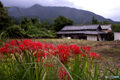 農家の庭