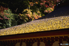 談山神社の紅葉
