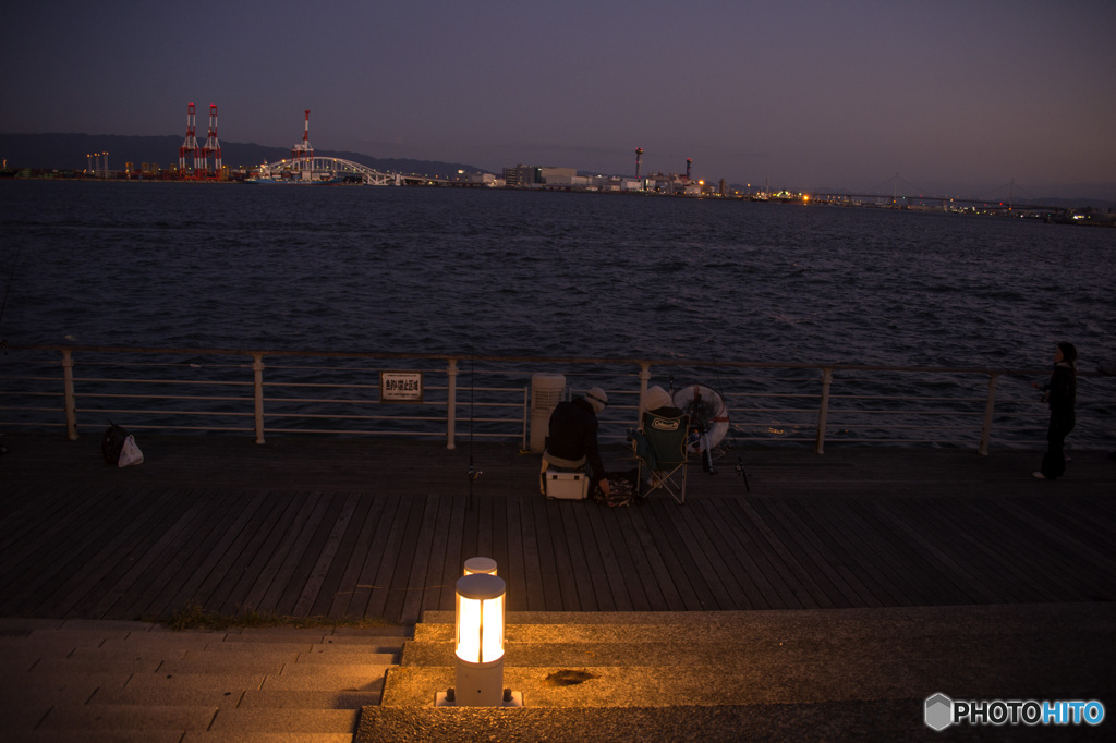 夜釣り