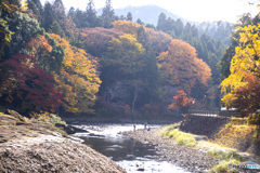 秋日和