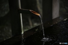 手水舎の一瞬