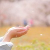 春