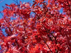 D6973513-6DCE-4D13-9550-0708FF98FF7A